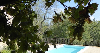 Haus mit Pool in den Weinbergen der Drôme Provençale