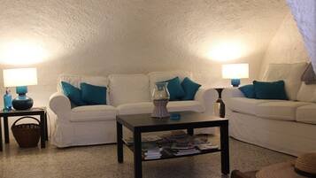 TV, fireplace, DVD player, books