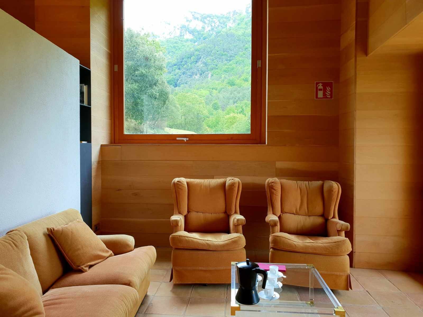 TV, fireplace, books