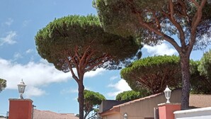 A gated residential area with a paved driveway leading to a house with a tiled roof. - Villa with private pool, barbecue and WIFI near the beach. (Chiclana de la Frontera)
