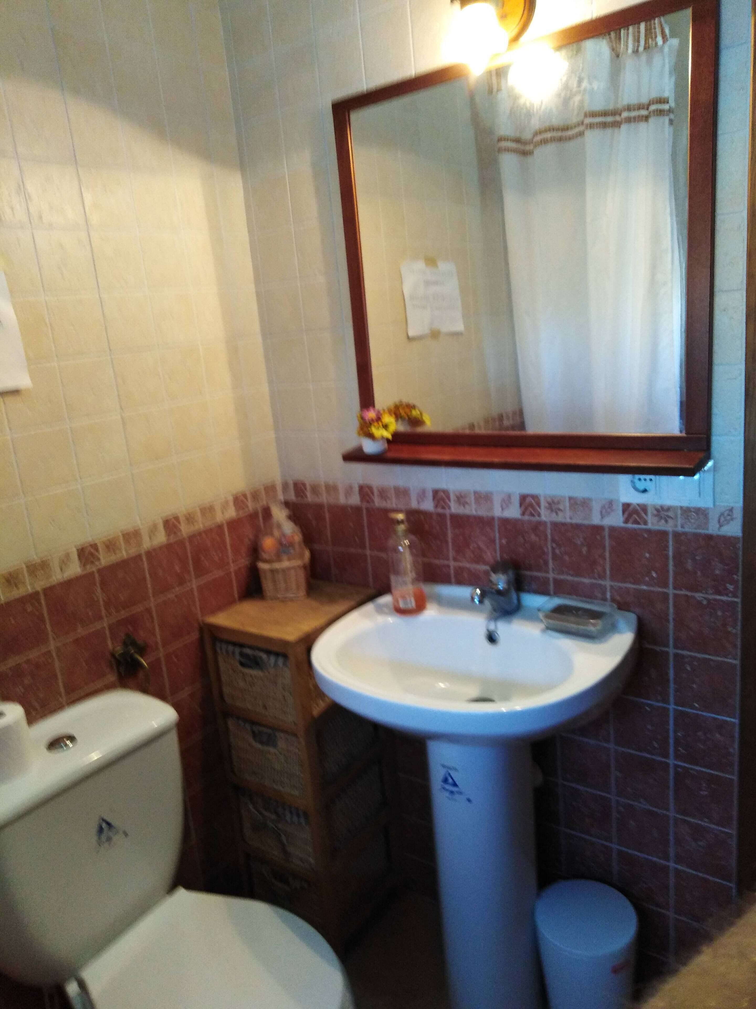A bathroom with a white sink, a mirror, a toilet, and a trash can.