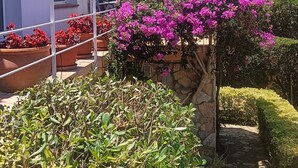 A courtyard with potted plants, a stone pathway, and a white building with a balcony. - Loft in Aiguablava beach. Costa Brava. With private garden and sea views. (Begur)