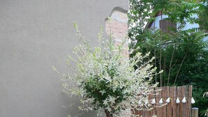 En have med et lille træ, lilla blomster og et bambushegn.