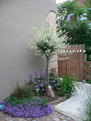 Property grounds - Cottage in the heart of the Alsatian vineyard (Colmar)