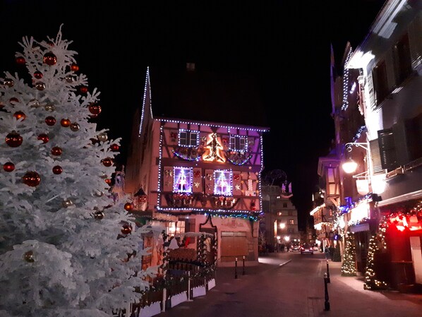 Exterior - Cottage in the heart of the Alsatian vineyard (Colmar)