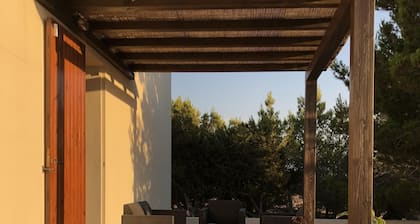 House / Villa - San Francisco Javier