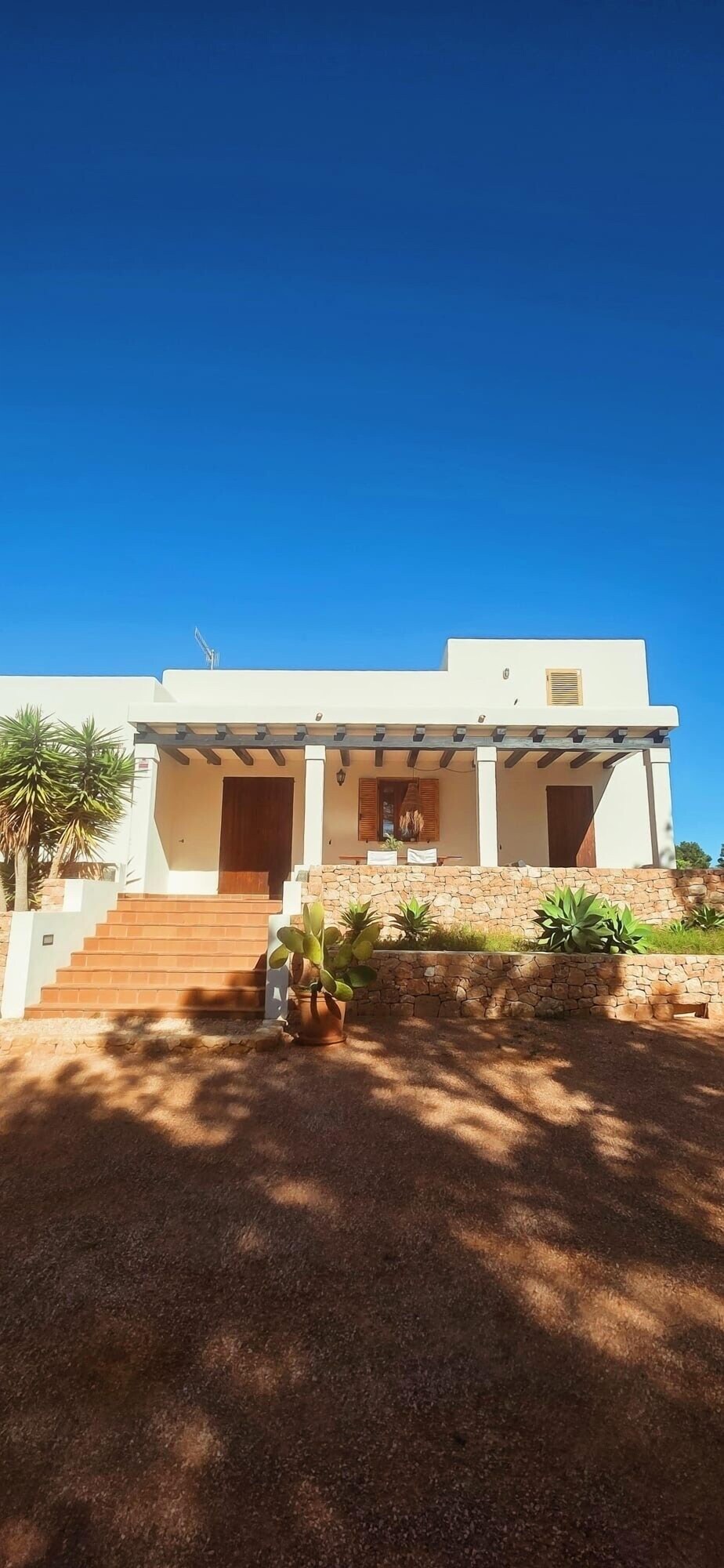 オーナーのプロフィール画像