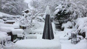 A snow-covered outdoor area with a table and chairs, a decorative metal structure, and snow-laden trees.