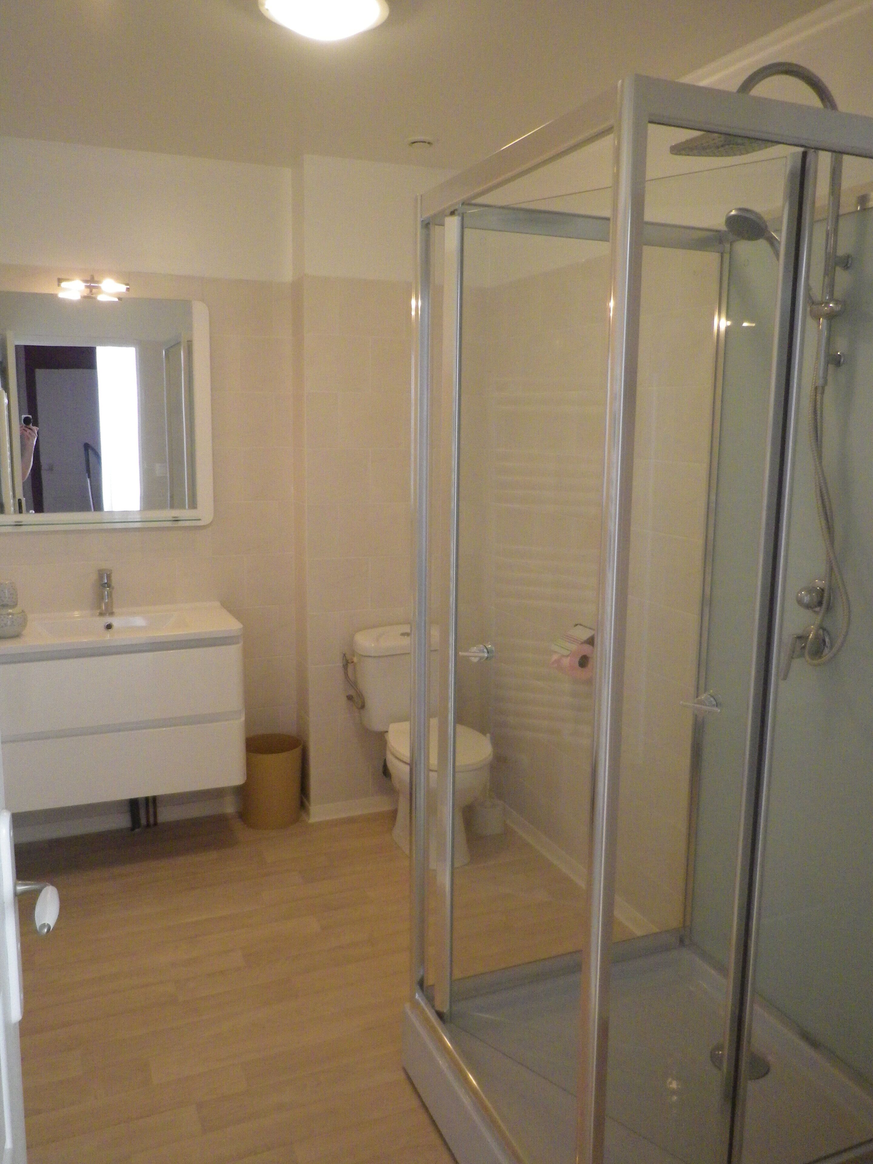 Shower, hair dryer