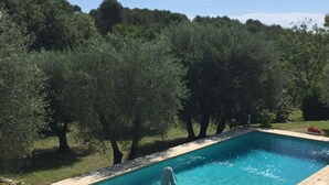 Une piscine dotée d’une plage en pierre, entourée d’arbres et bordée d’une pelouse.