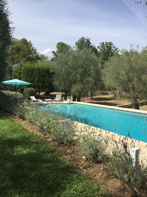 Une piscine entourée d’arbres et de verdure, avec des chaises longues et un parasol bleu.