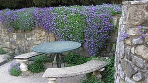 Un jardin avec une table et des bancs en pierre, entouré d’un mur de pierre et agrémenté de fleurs violettes.