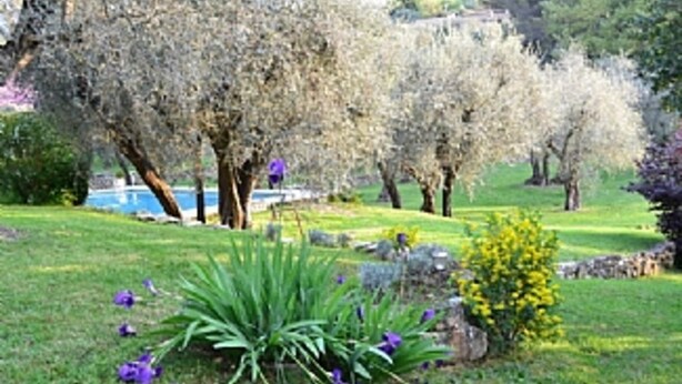 Un jardin avec des arbres, une piscine et différentes espèces de plantes.