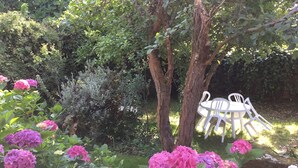 A garden with pink hydrangea flowers, a white outdoor table and chairs, and a tree. - houses / villas - 3 rooms - 4 persons (Groix)