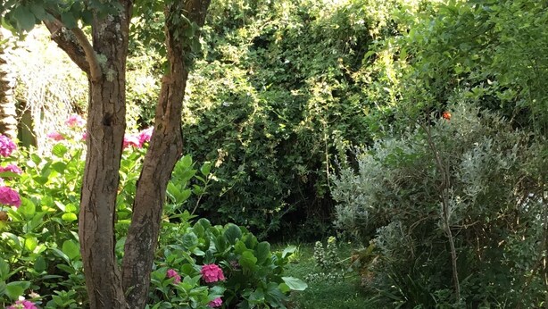 A garden with a stone pathway leading through lush greenery and flowering plants. - houses / villas - 3 rooms - 4 persons (Groix)