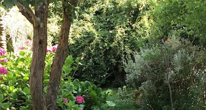 houses / villas - 3 rooms - 4 persons