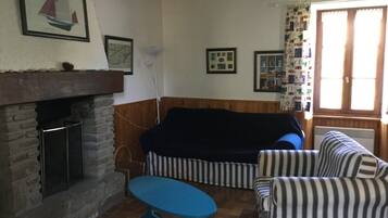 Télévision, cheminée, lecteur de DVD