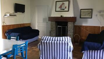 Télévision, cheminée, lecteur de DVD