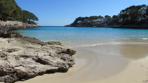 Une plage à l’eau claire, avec un rivage rocheux et des arbres.