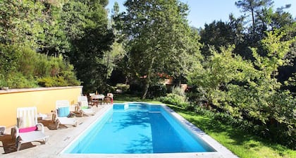 molino de agua reconstruida ,, Cataratas de agua. piscina privada. Pista de tenis