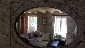 TV connectée, cheminée, lecteur de DVD, livres