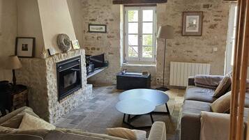 TV connectée, cheminée, lecteur de DVD, livres