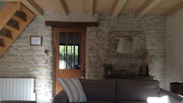 TV connectée, cheminée, lecteur de DVD, livres