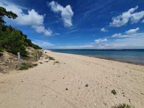 A sandy beach with a wooden fence and sparse vegetation.