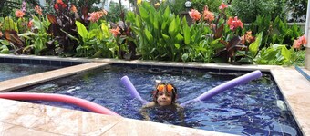 Villa Hadigari with private pool/children pool/ jacuzzi and so reasonable price