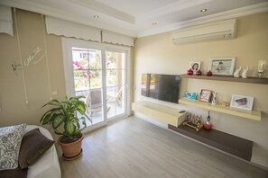 TV, DVD player - Villa Hadigari with private pool/children pool/ jacuzzi and so reasonable price (Dalyan)
