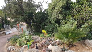 A landscaped garden with various plants and rocks. - VILLA 4 ROOMS 3 BATHROOMS WITH  HEATED POOL  500M SEA VIEW / MOUNTAIN (Zonza)