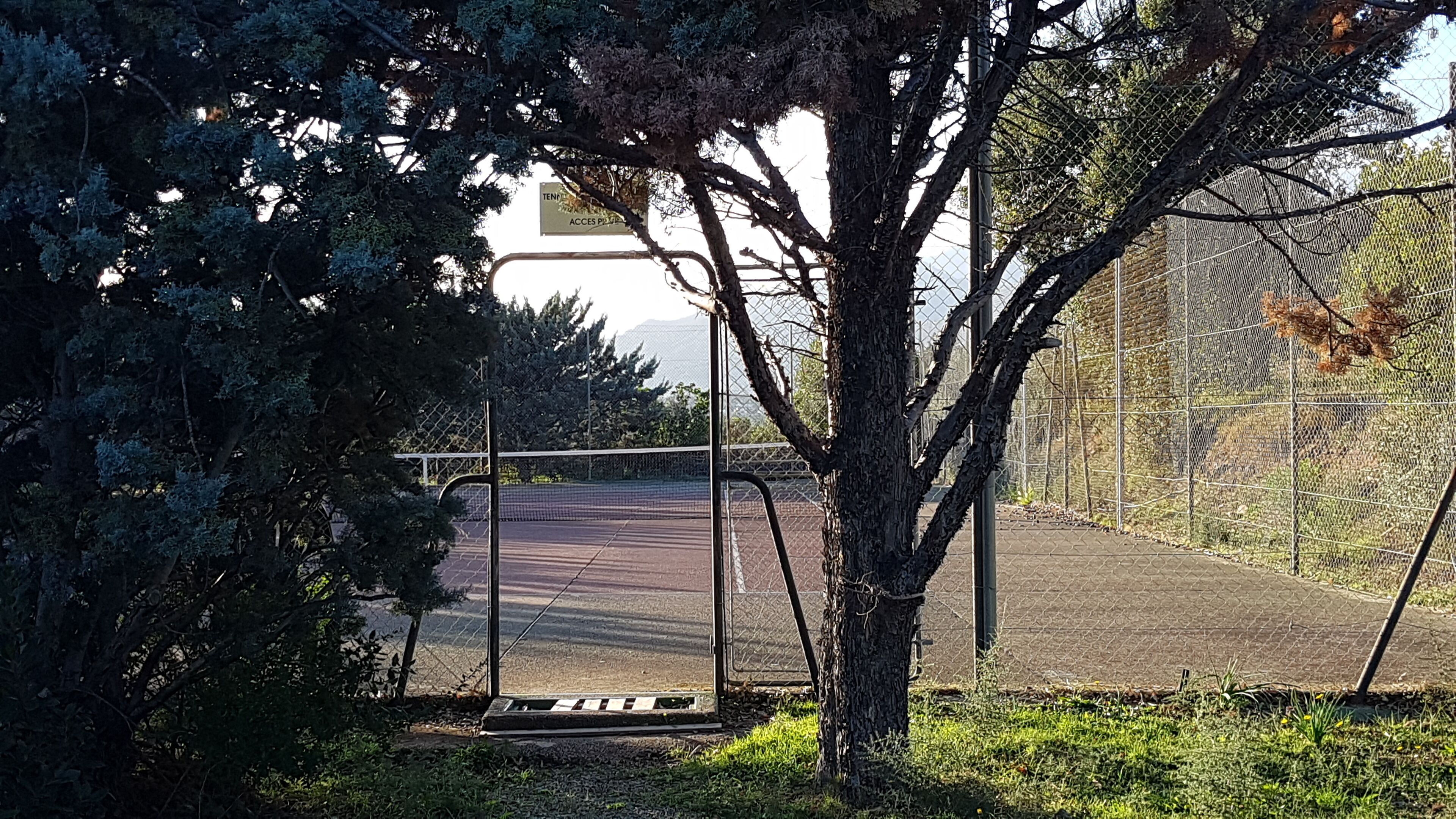 A fenced tennis court with a net, surrounded by trees and a chain-link fence.