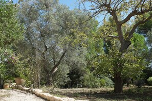 Overnattingsstedets uteområder