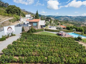Un vignoble doté d’une piscine et d’un bâtiment moderne à la façade en pierre.