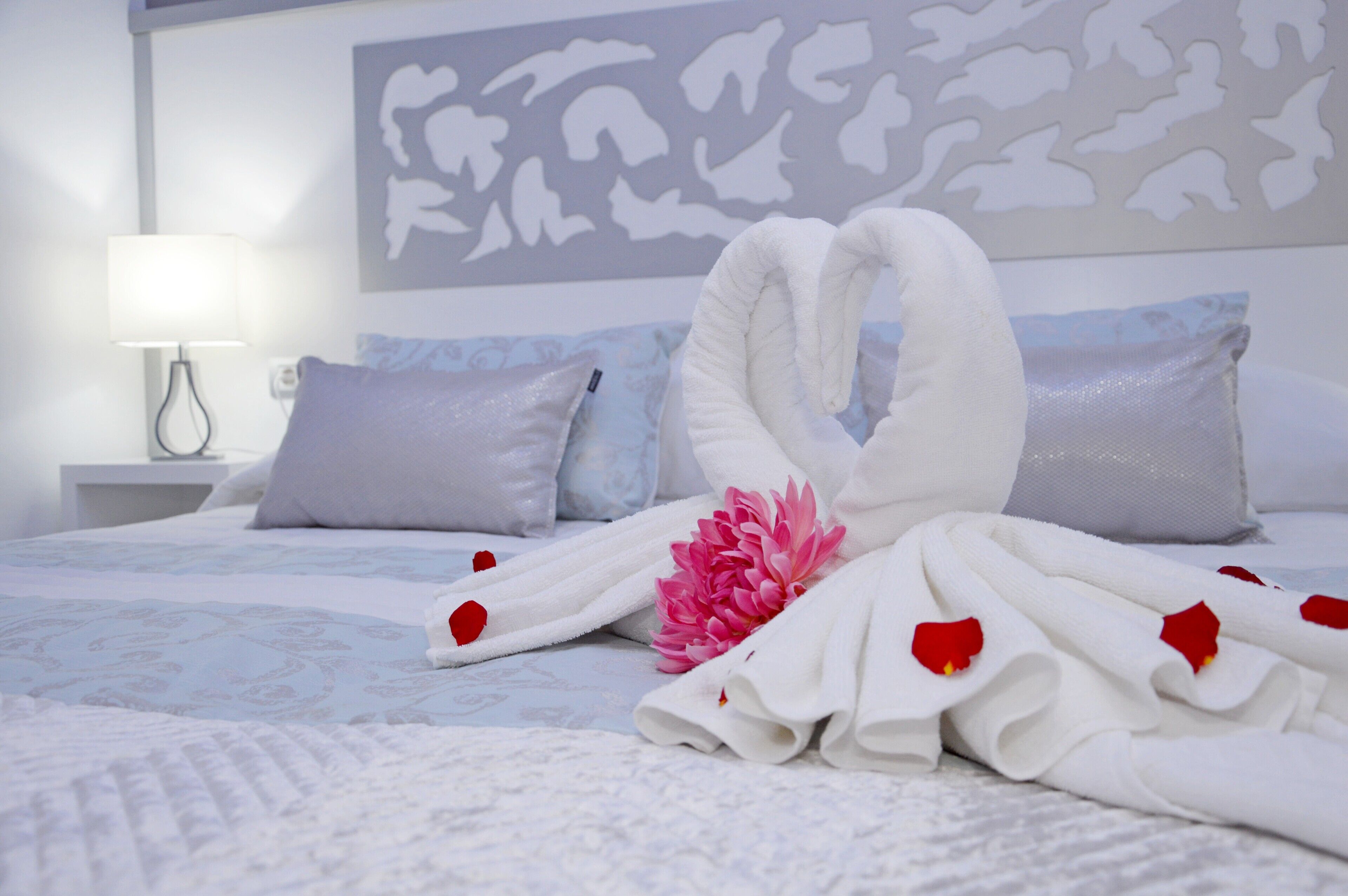 Hotel Drago San Antonio - Galaxy