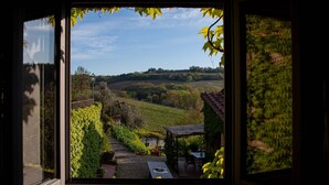 Vue depuis une chambre dotée d’une grande fenêtre donnant sur un vignoble, un petit espace extérieur aménagé avec des sièges et un chemin en pierre.