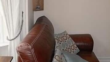 Fernseher, Kamin, DVD-Player, Bücher