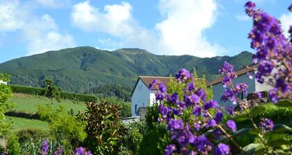 TRADICAMPO-CASA DA FONTE-RURAL HOUSE WITH LARGE GARDEN AND ASTONISHING VIEWS.