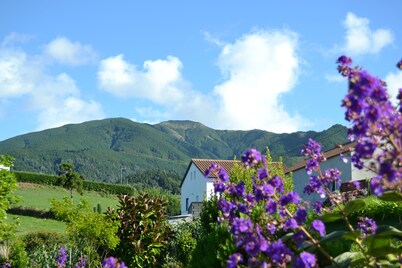 TRADICAMPO-CASA DA FONTE-RURAL HOUSE WITH LARGE GARDEN AND ASTONISHING VIEWS. 