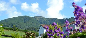 TRADICAMPO-CASA DA FONTE-RURAL HOUSE WITH LARGE GARDEN AND ASTONISHING VIEWS.