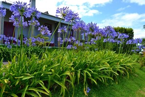 Property grounds - TRADICAMPO-CASA DA FONTE-RURAL HOUSE WITH LARGE GARDEN AND ASTONISHING VIEWS.  (Nordeste)