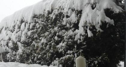 Dream Vacation in the Dolomites!