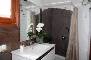 Shower, hair dryer, bidet, towels