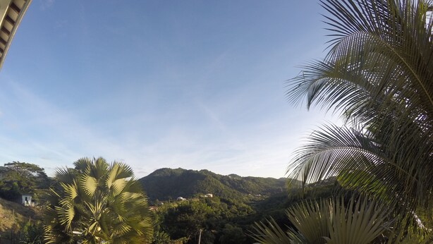 Un paesaggio rigoglioso con palme e una montagna sullo sfondo.