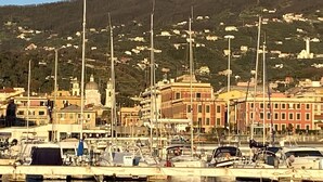 A marina with boats docked, a waterfront view, and buildings in the background.
