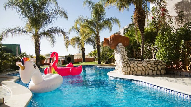 A swimming pool with inflatable swan and flamingo floats, surrounded by palm trees and a stone wall.