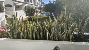 Un patio con plantas altas y decorativas, una piscina y edificios blancos con balcones.