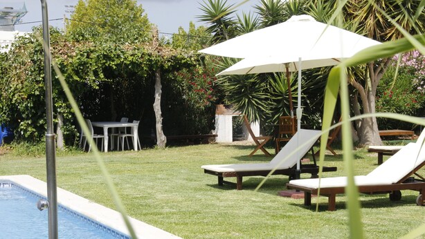 Un espace piscine agrémenté de chaises longues et de parasols, entouré de verdure.