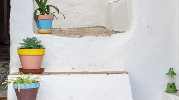 A set of white steps with colorful potted plants on the left. - Cosy Quiet Hideaway with Private Terrace, perfect location old town Tarifa (Tarifa)