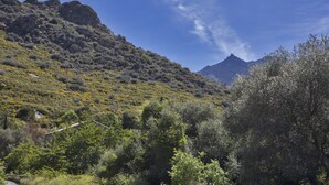 A mountainous landscape with dense vegetation and a clear sky. - House with character (Feliceto)